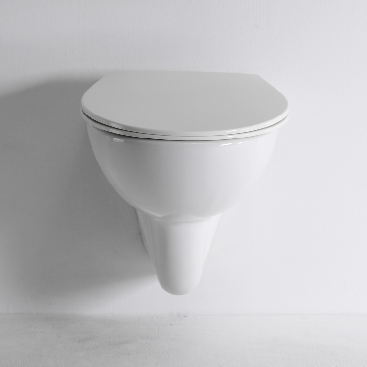 Rimless Wall Hung Toilet with Bidet Function Ceramic WC BF2420D