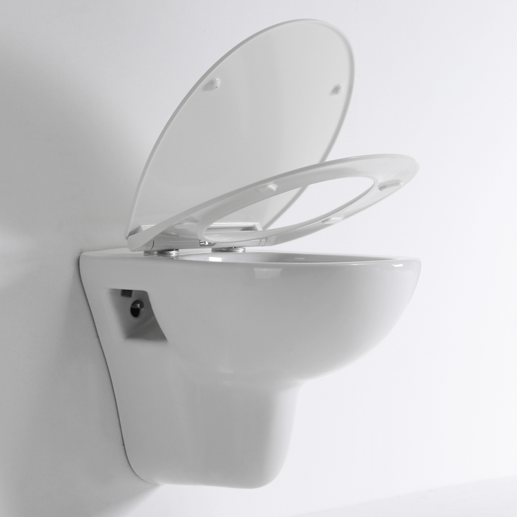 Rimless Wall Hung Toilet with Bidet Function Ceramic WC BF2420D