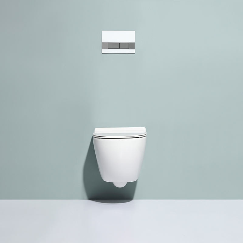 Rimless Wall Hung Toilet Ceramic Washdown WC Glossy White BF2478