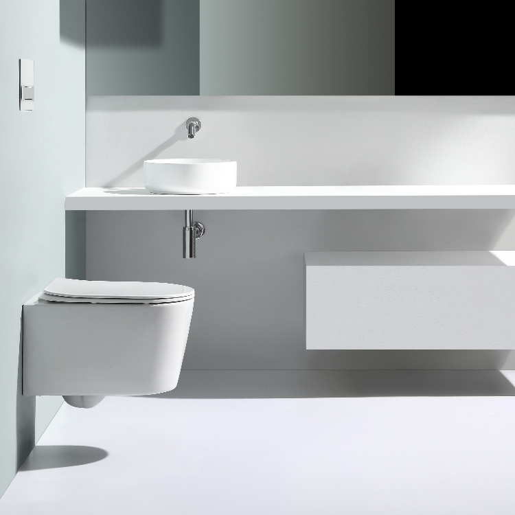 Wall Hung Toilet