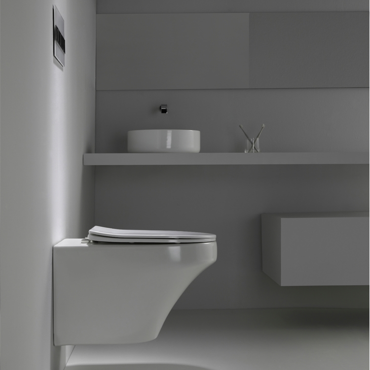 Wall Hung Toilet