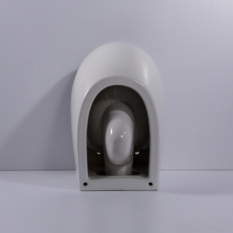 Back to Wall Toilet 530mm Rimless Ceramic WC Soft Close Seat Dual Flush Washdown