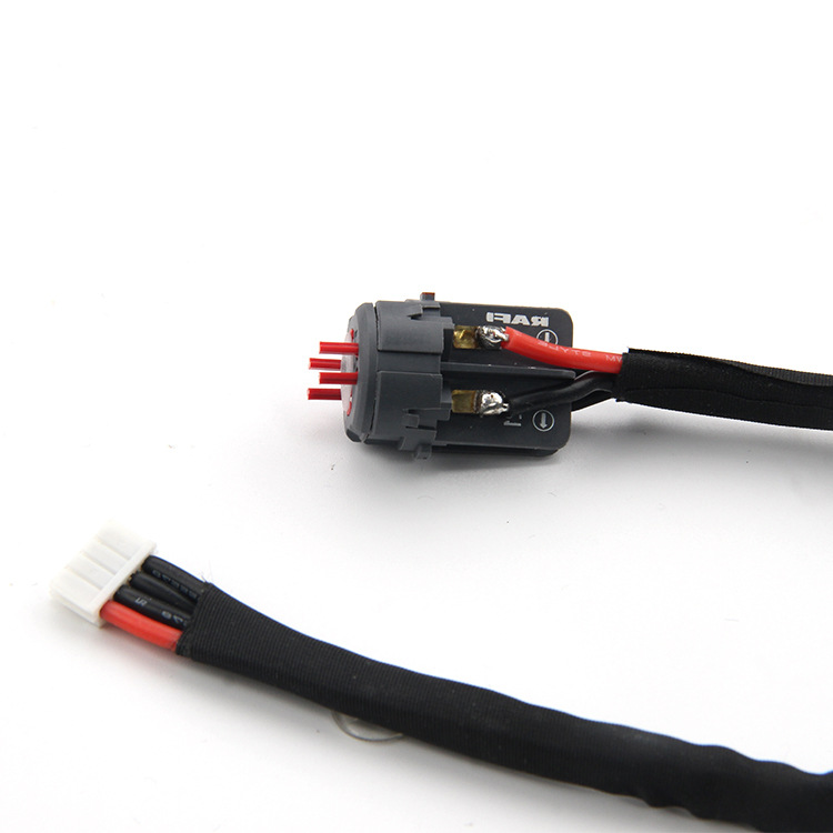 Custom RAFI to 4-Pin Wiring Harness