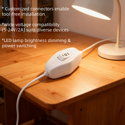 Dual Gear 5 to 24V Waterproof On Off Switch Control Cable with Braided Sleeve for LED Lighting Systems