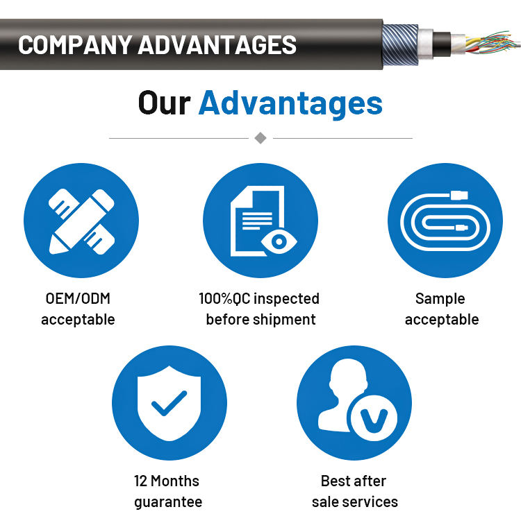 Professional Cable Manufacturer Customized Production All Kinds Equipment Wires Cables Wire Assembly