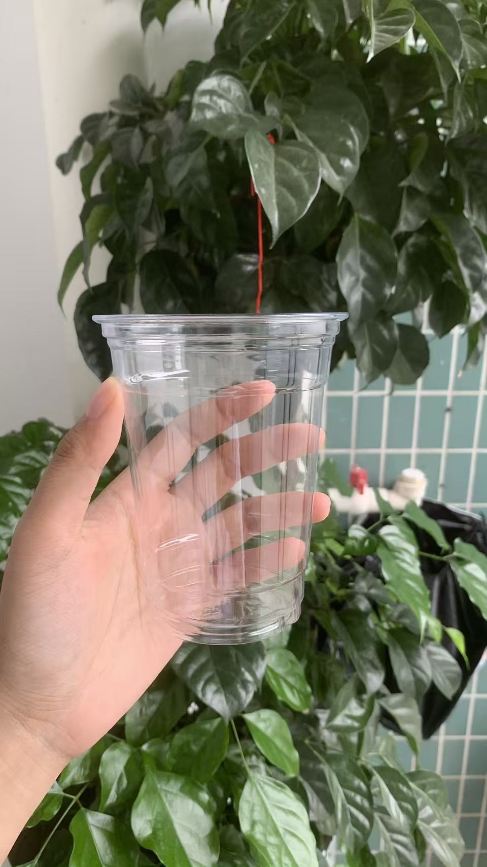 Reusable Custom Plastic Cups | BPA-Free & Recyclable PP Material