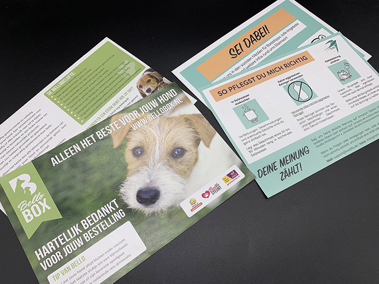 Custom Flyer Printing | Promotional Leaflets | Business Marketing Flyers