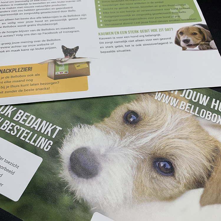 Custom Flyer Printing | Promotional Leaflets | Business Marketing Flyers