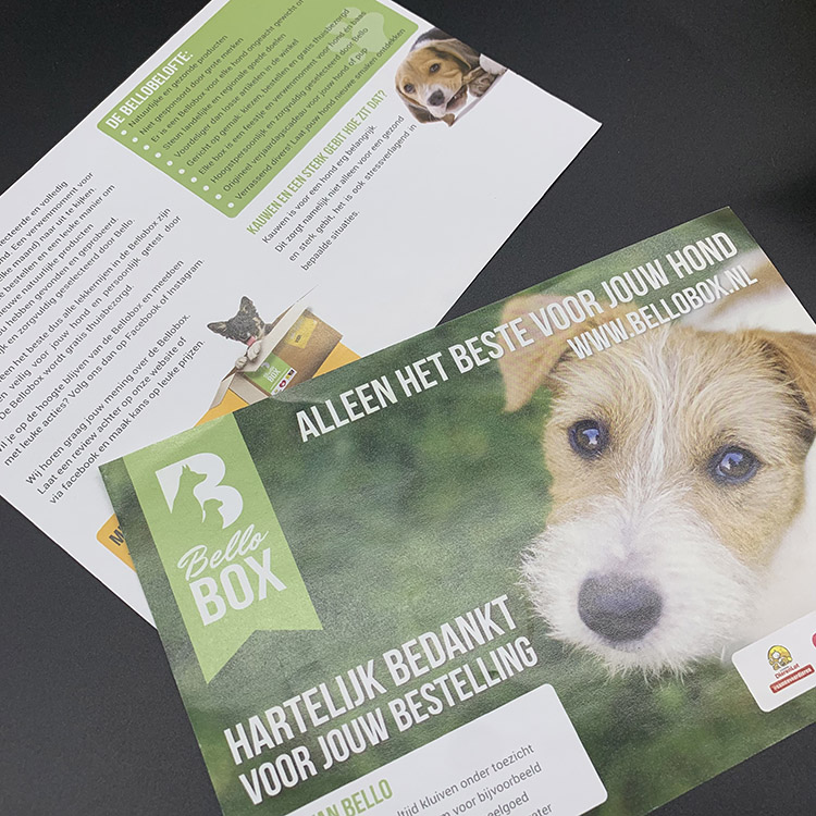 Custom Flyer Printing | Promotional Leaflets | Business Marketing Flyers