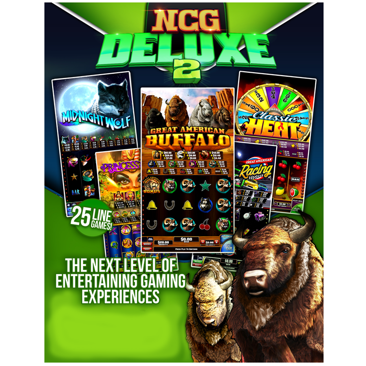 NCG Deluxe 2 5in1 PC Board with Case No Chance Game Skill Game PCB Game Board at Factory Price for Arcade Game Amusement Machine