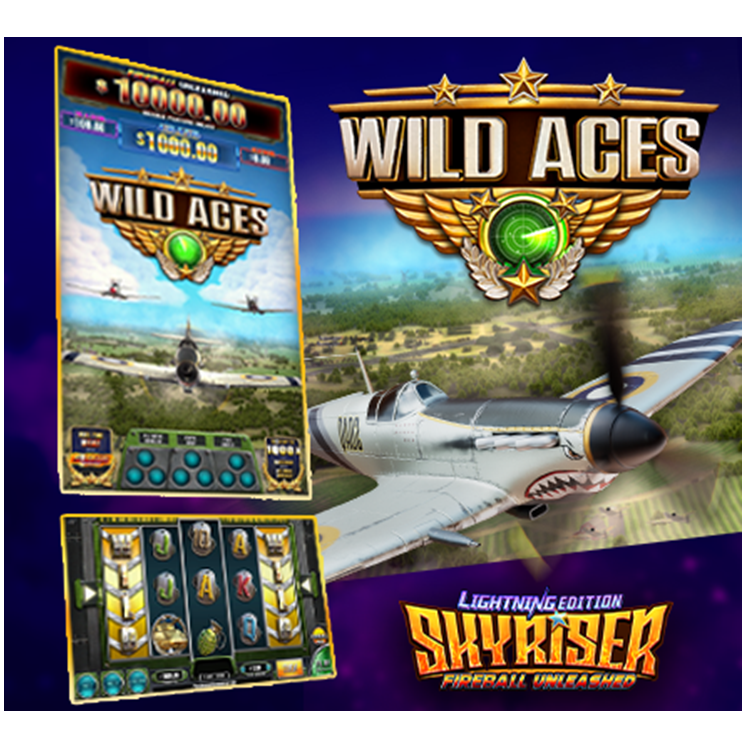 Skyriser Fireball Unleashed 5in1 PC Board SAS 43